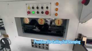 Автоматическая машина для высечки и тиснения фольгой JIGUO TMY-800H